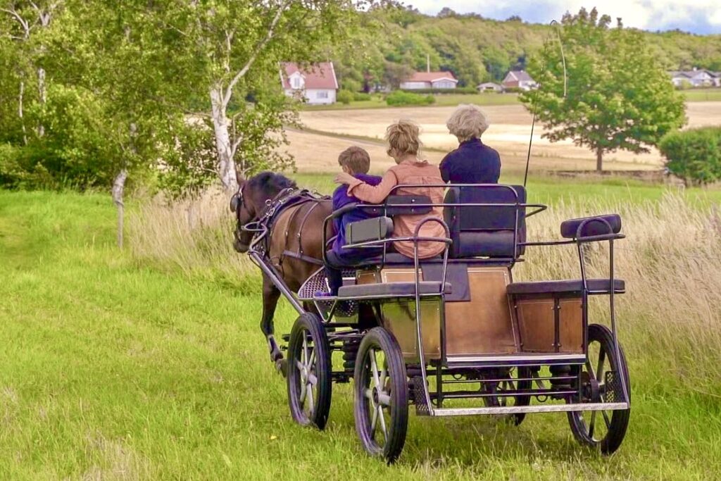 tyga gård häst & vagn familjeäventyr